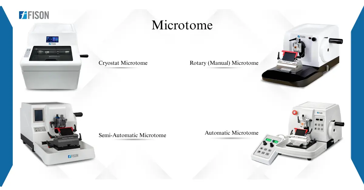 Precision at Each Section How Microtomes Improve Histology Workflow and Diagnostic Accuracy