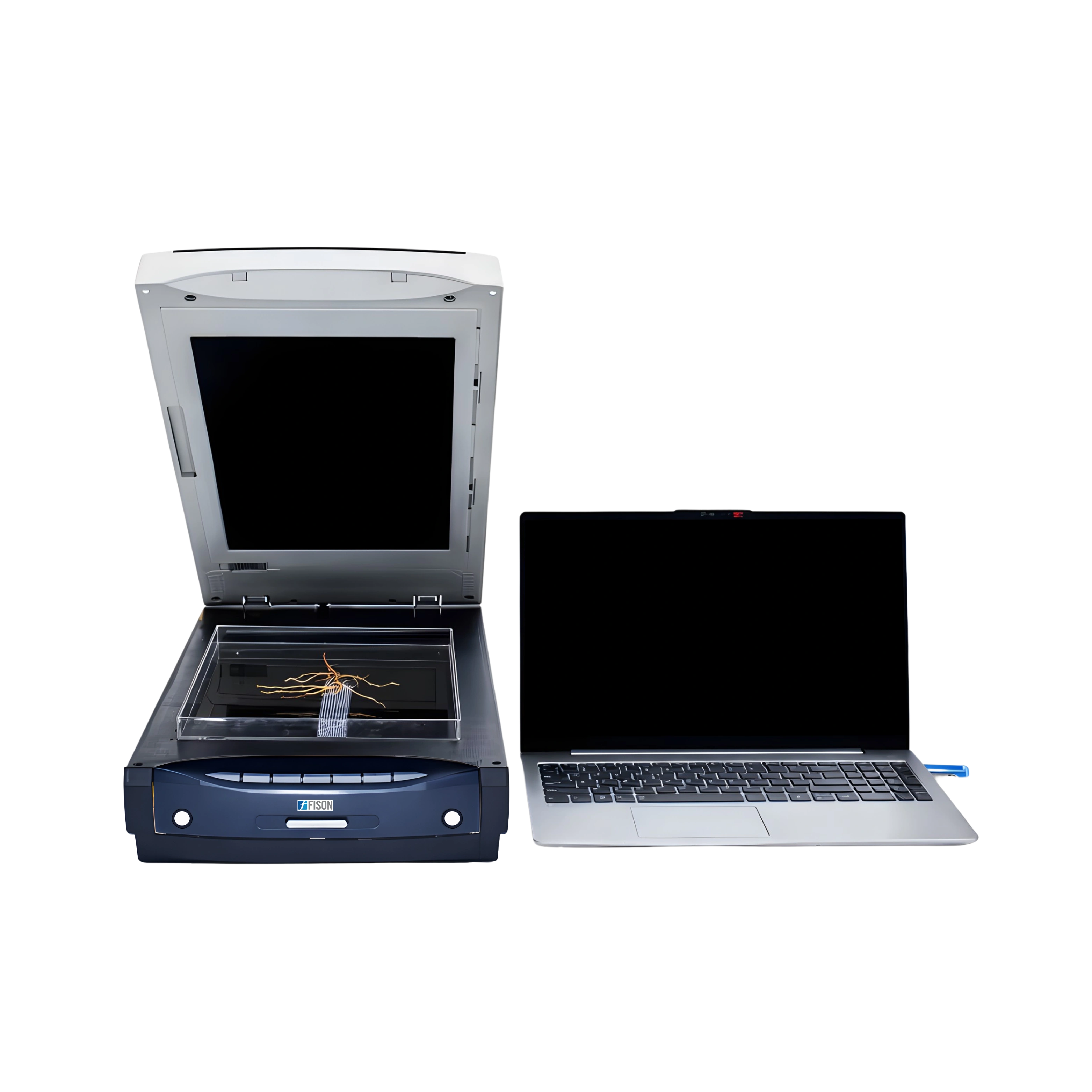 Plant Root Scanner