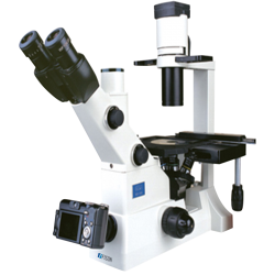 Inverted Biological Microscope FM-BM-B200