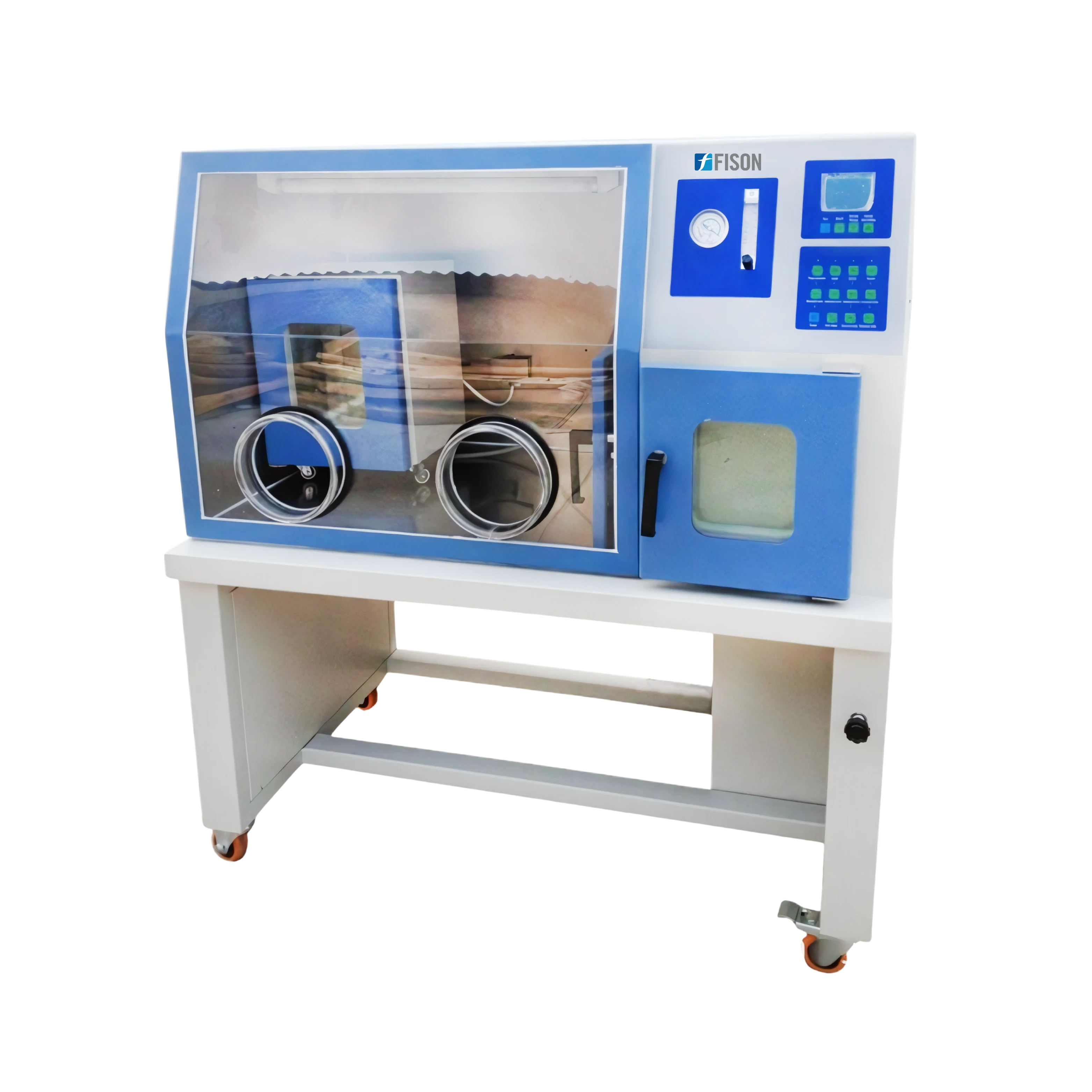 Anaerobic Incubator FM-AIN-A100