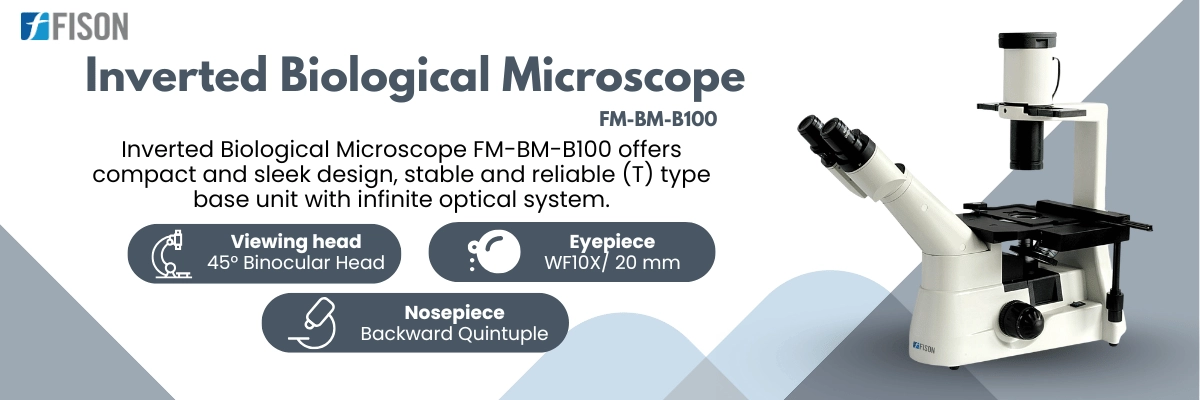 Inverted Biological Microscope FM-BM-B100