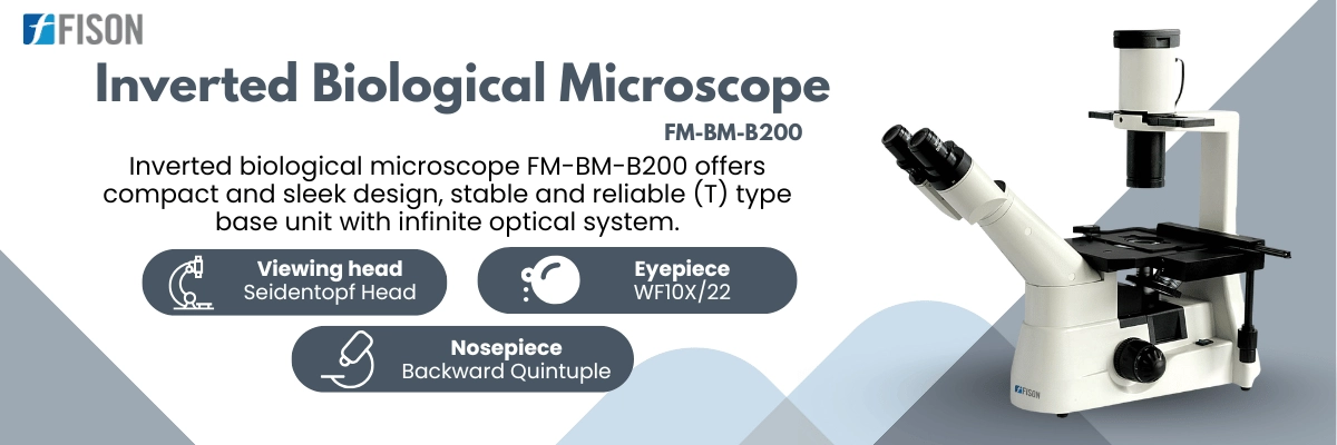 Inverted Biological Microscope FM-BM-B200