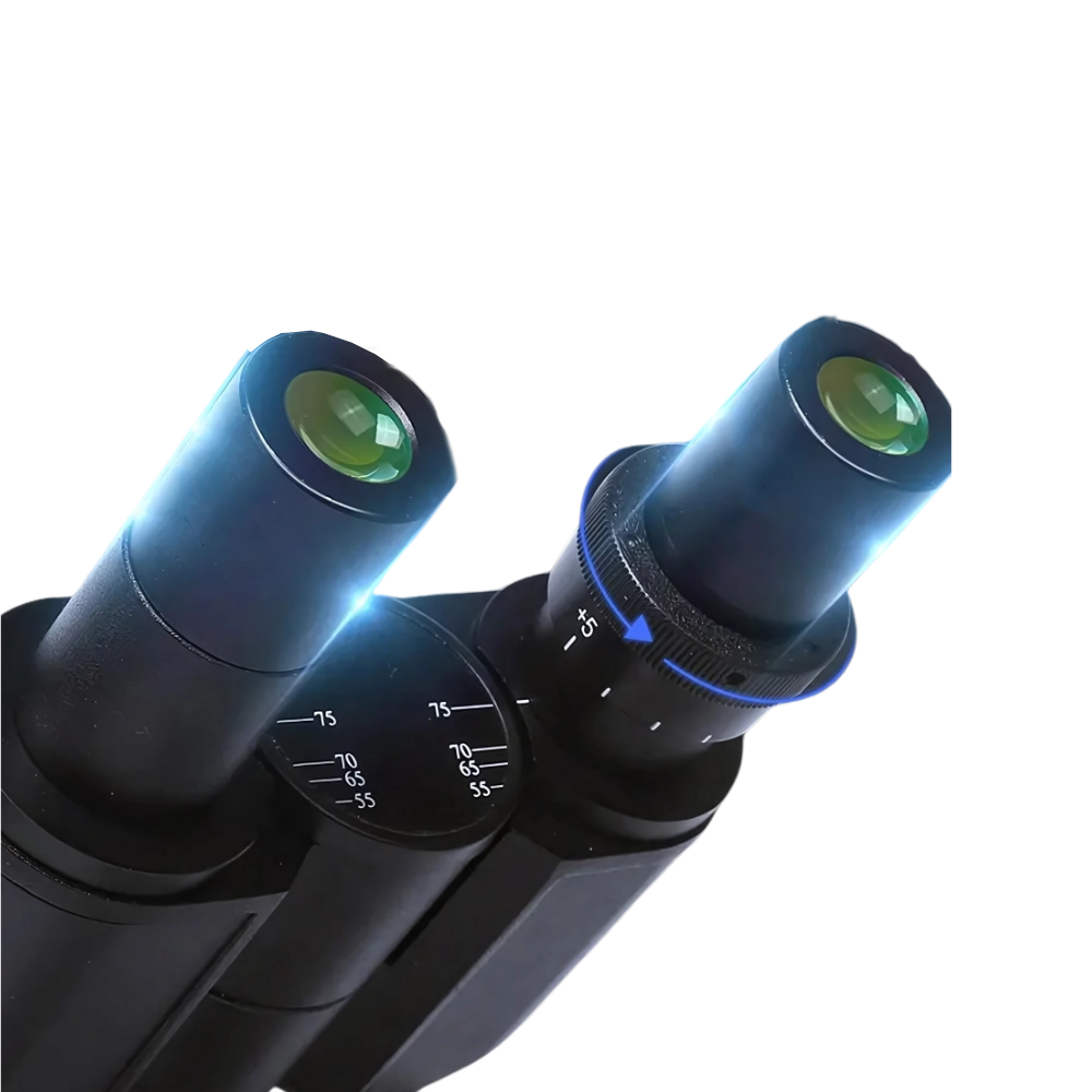 Biological Microscope FM-BM-C105