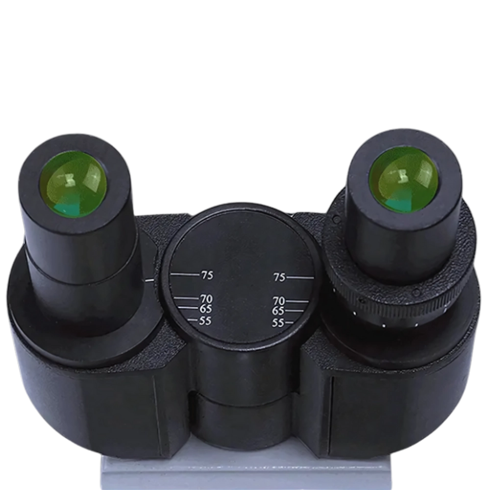 Biological Microscope FM-BM-C105