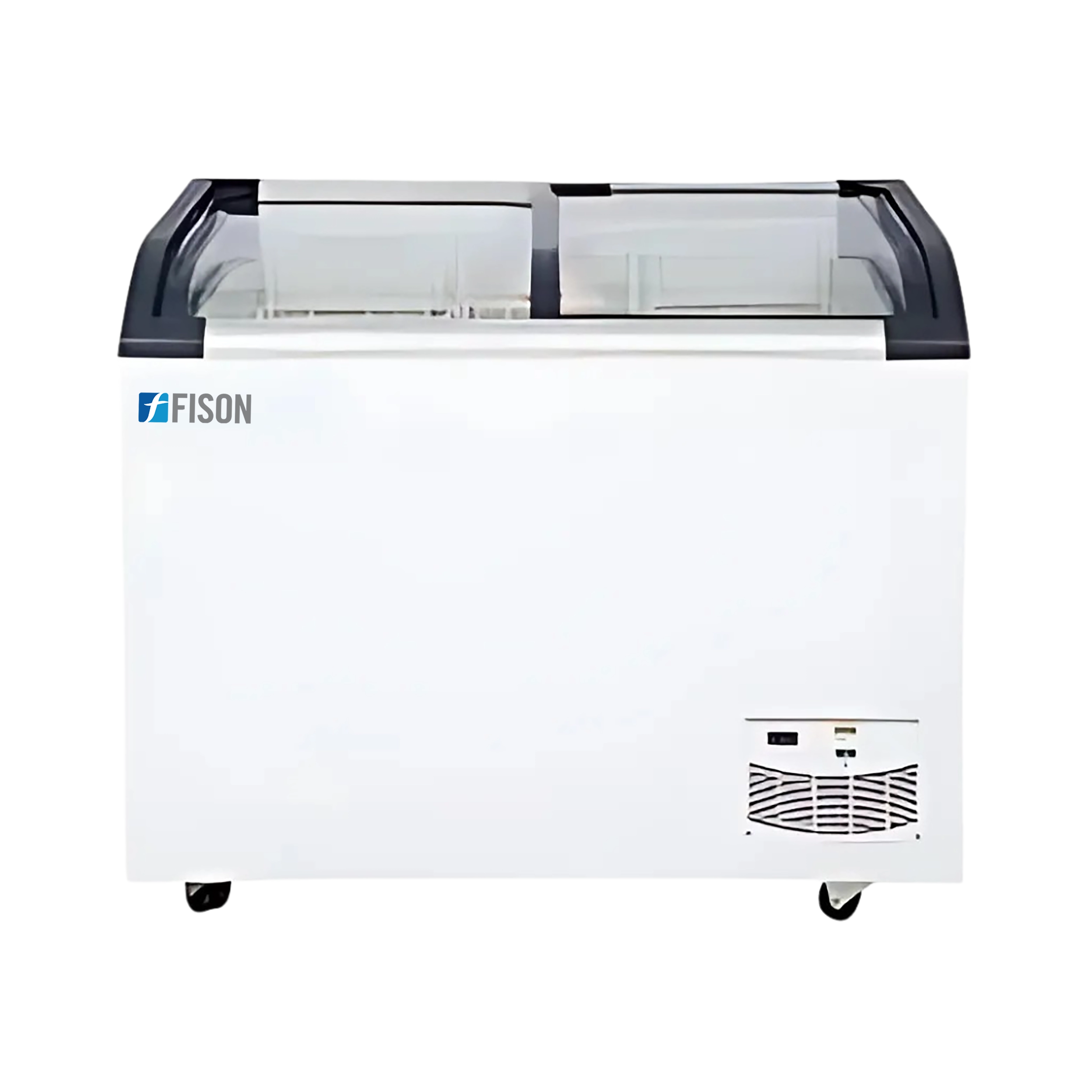 -25 °C Chest Freezer FM-CF-A300