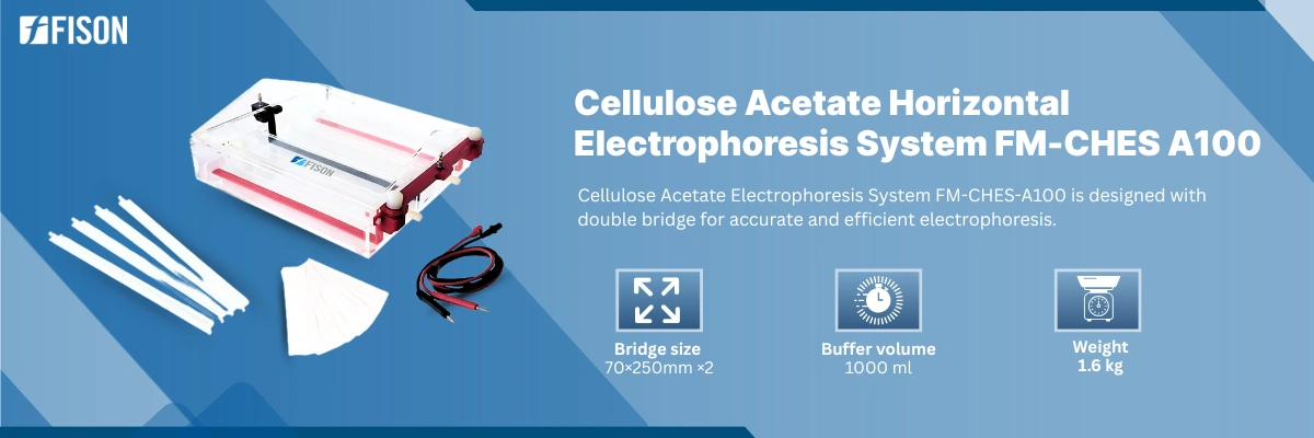 Cellulose Acetate Horizontal Electrophoresis System FM-CHES-A101