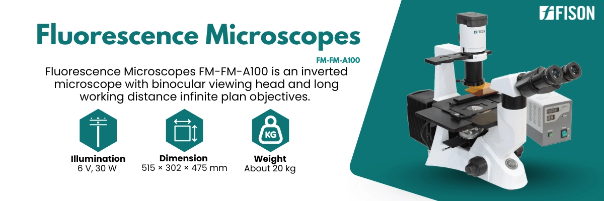 Fluorescence Microscopes FM-FM-A100