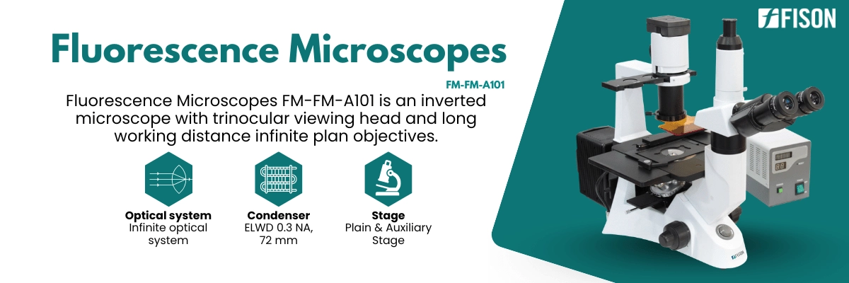 Fluorescence Microscopes FM-FM-A101
