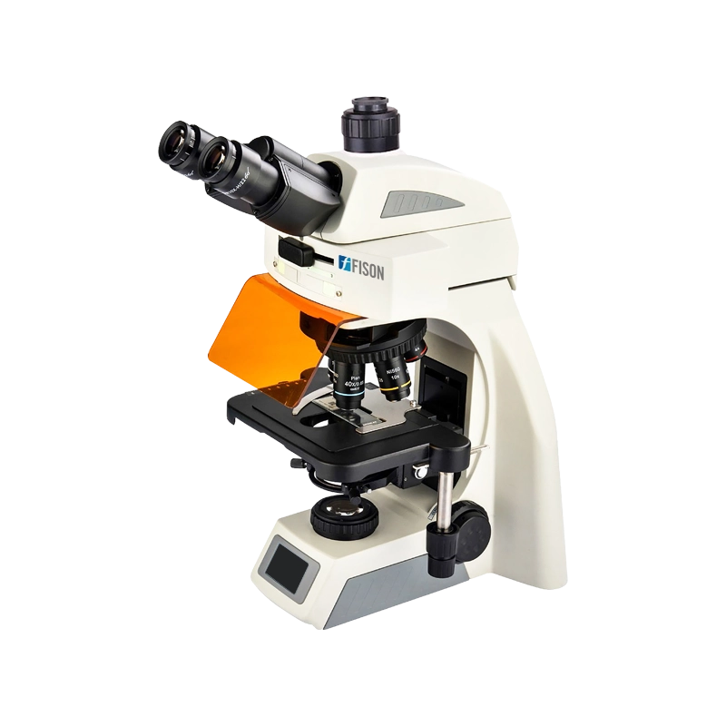 Fluorescence Microscope FM-FM-A204