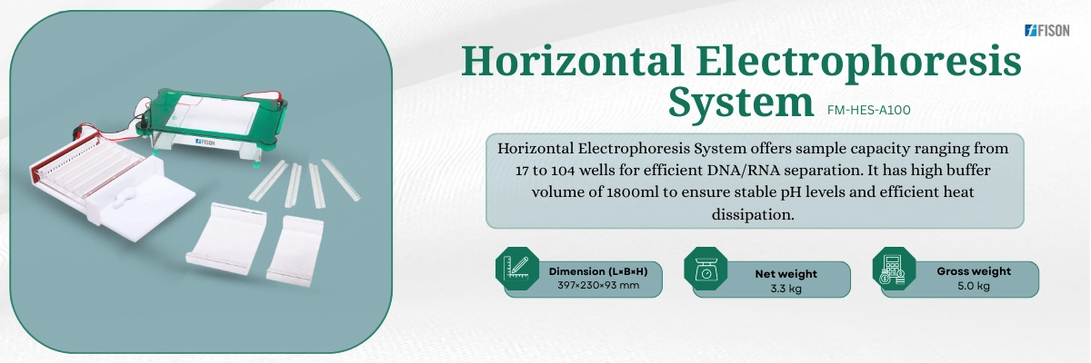 Horizontal Electrophoresis System- FM-HES-A100