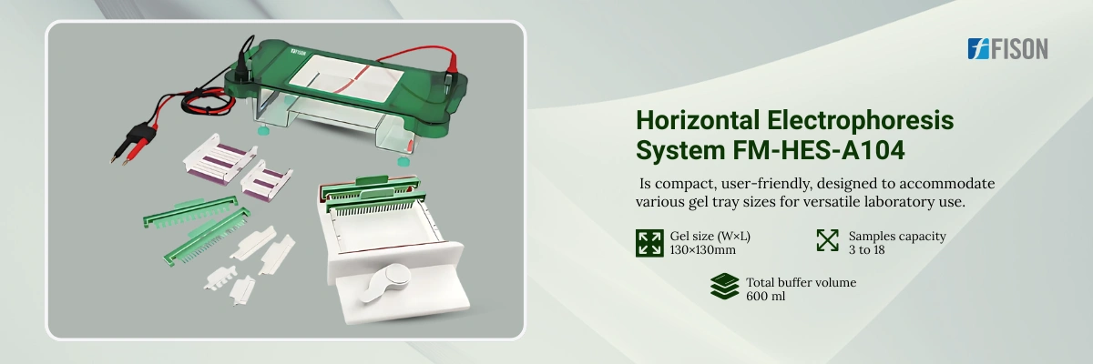 Horizontal Electrophoresis System FM-HES-A104
