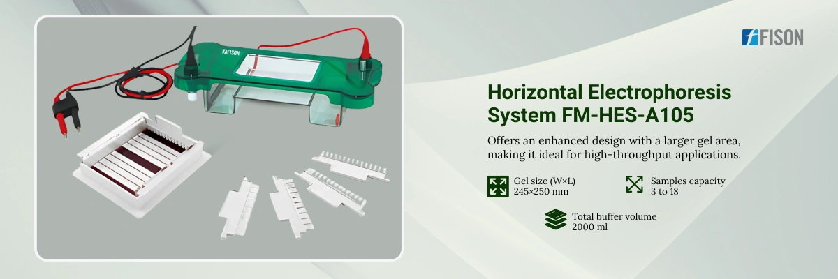 Horizontal Electrophoresis System FM-HES-A105