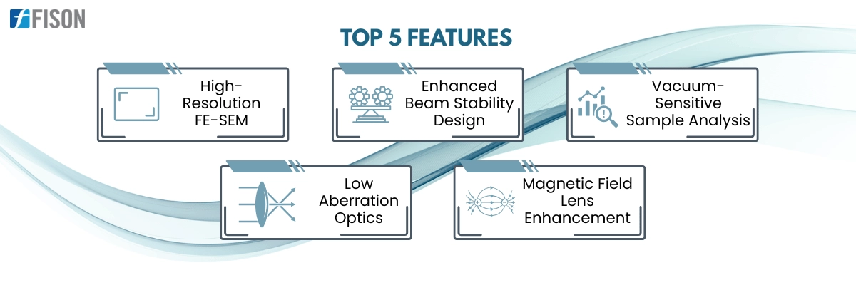 Scanning Electron Microscope FM-SEM-A100