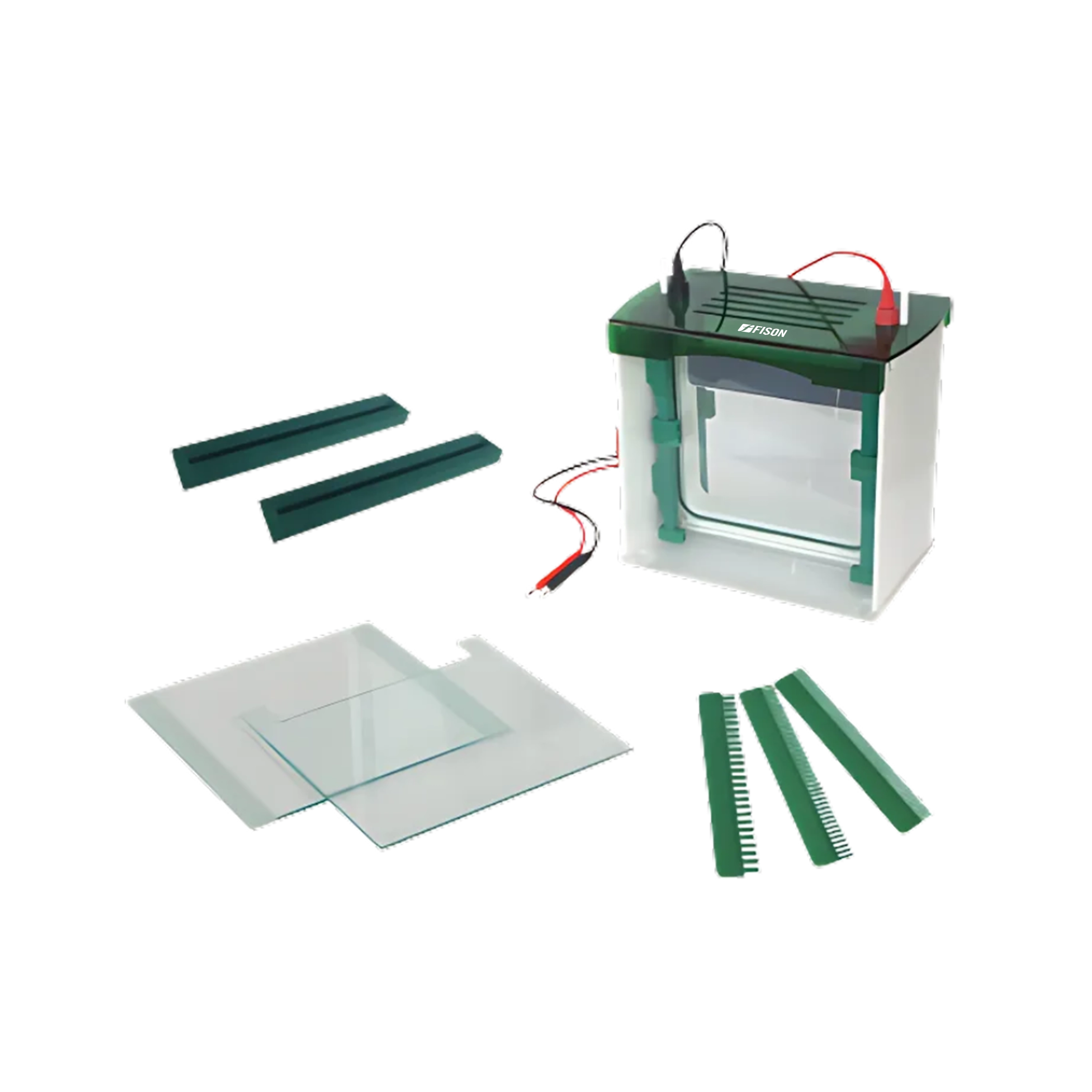 Vertical Electrophoresis System FM-VES-A106