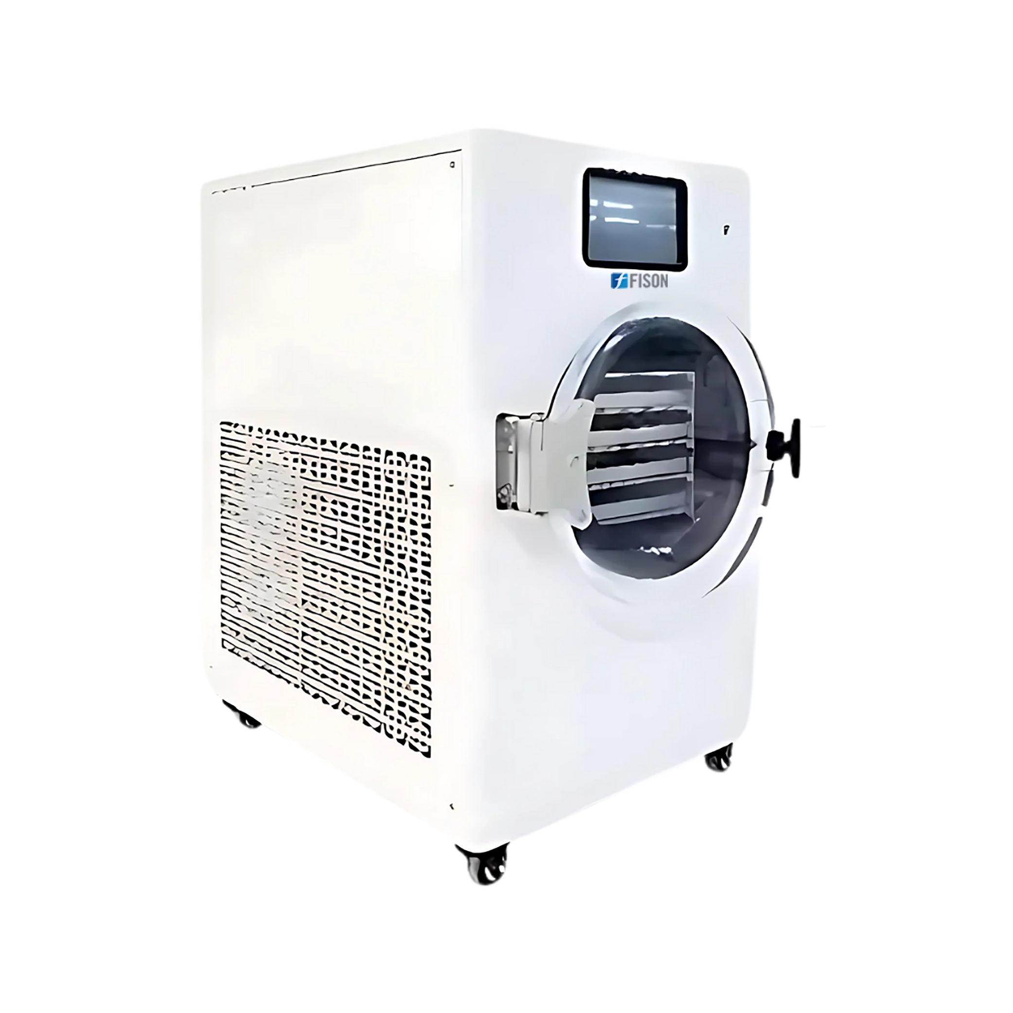 Vacuum Freeze Dryer FM-VFD-A100